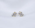 14k gold plated oorknopjes met een cluster van zirkonia stenen