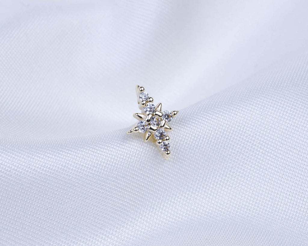 14k gold plated oorknopje in de vorm van een ster met een pavésetting van zirkonia stenen